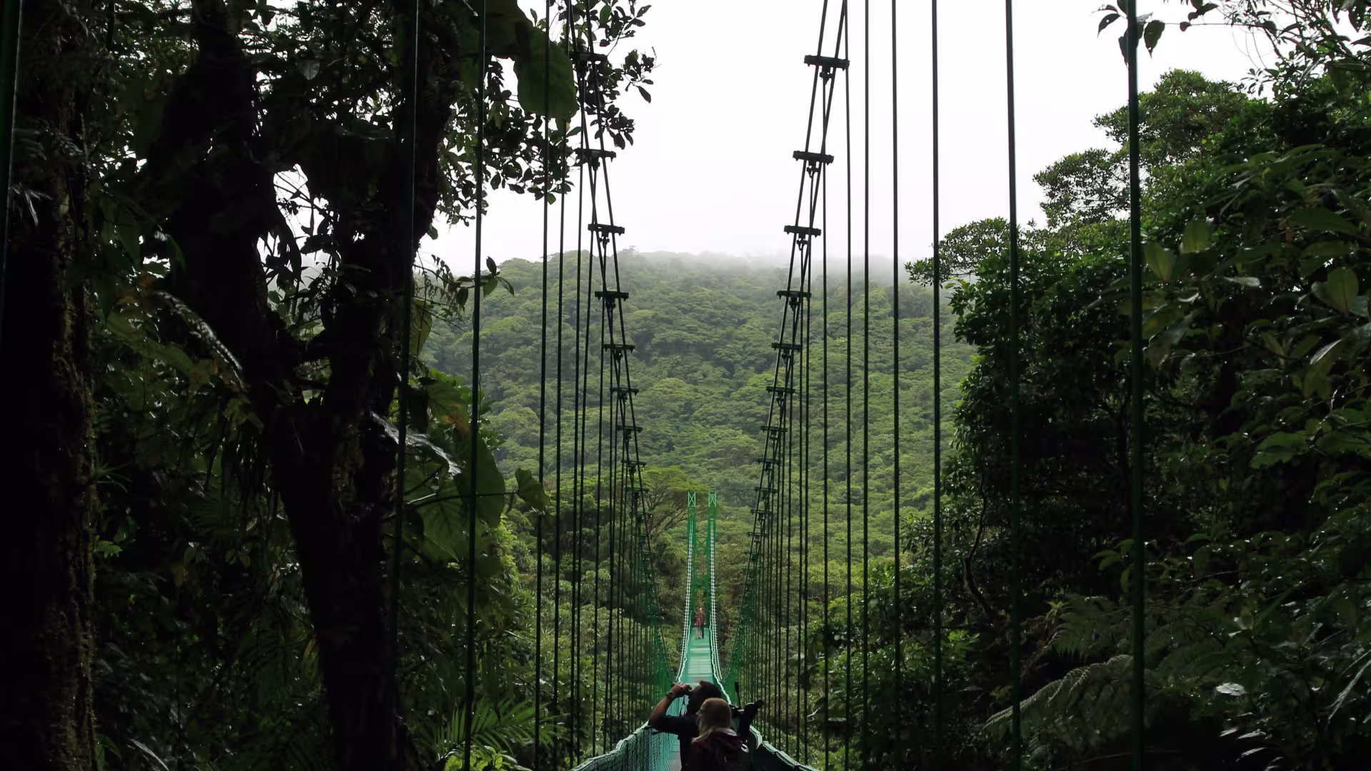 A long hanging bridge in Guanacaste